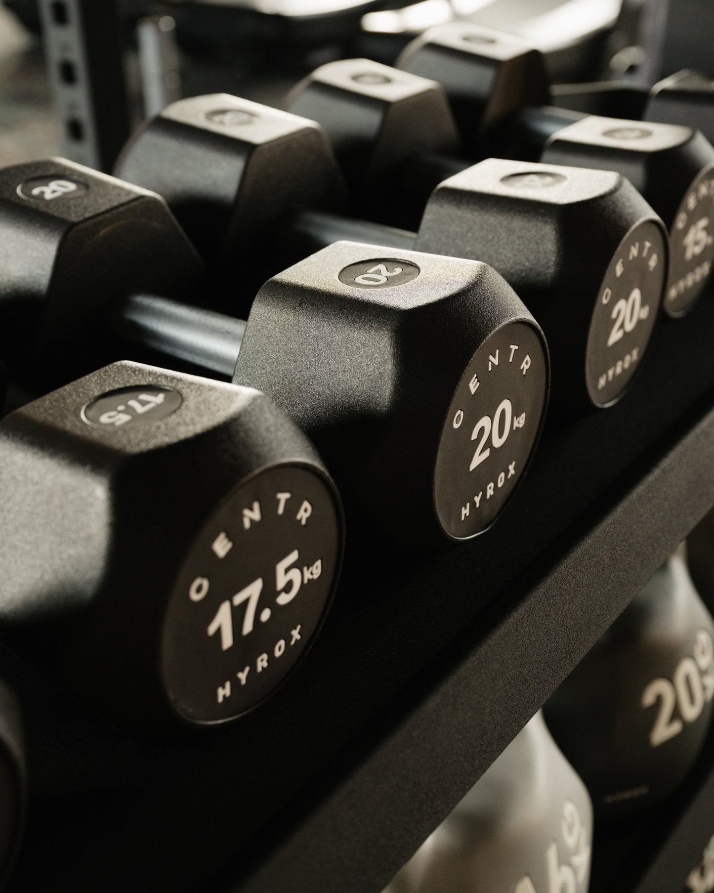 Centr x HYROX Commercial Dumbbells